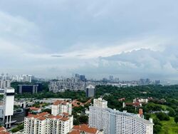 Stirling Residences (D3), Apartment #557227711
